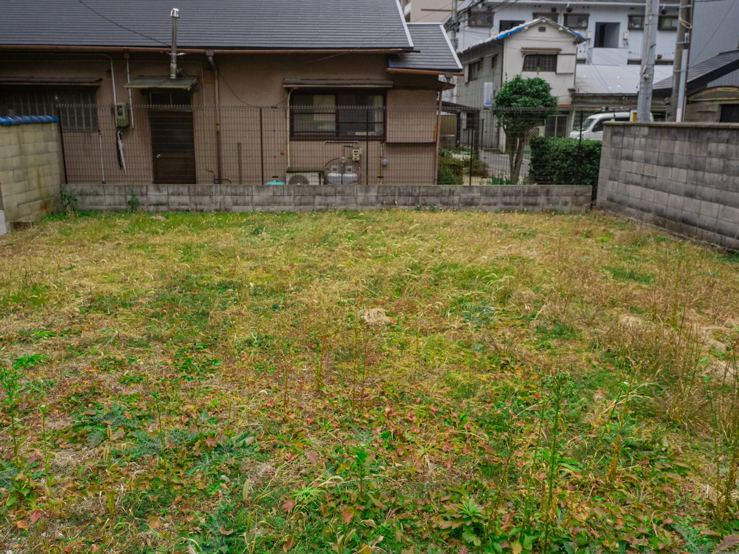 何年も放置されている土地