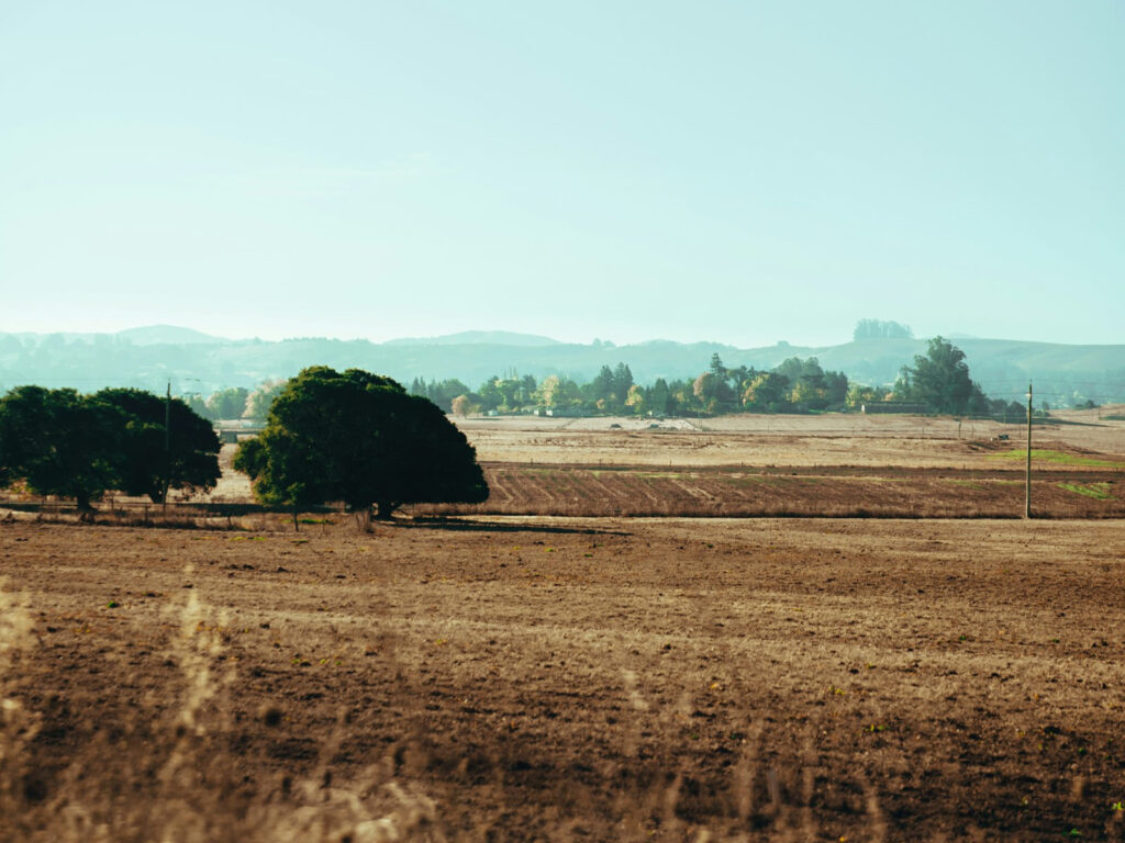 引き取った土地
